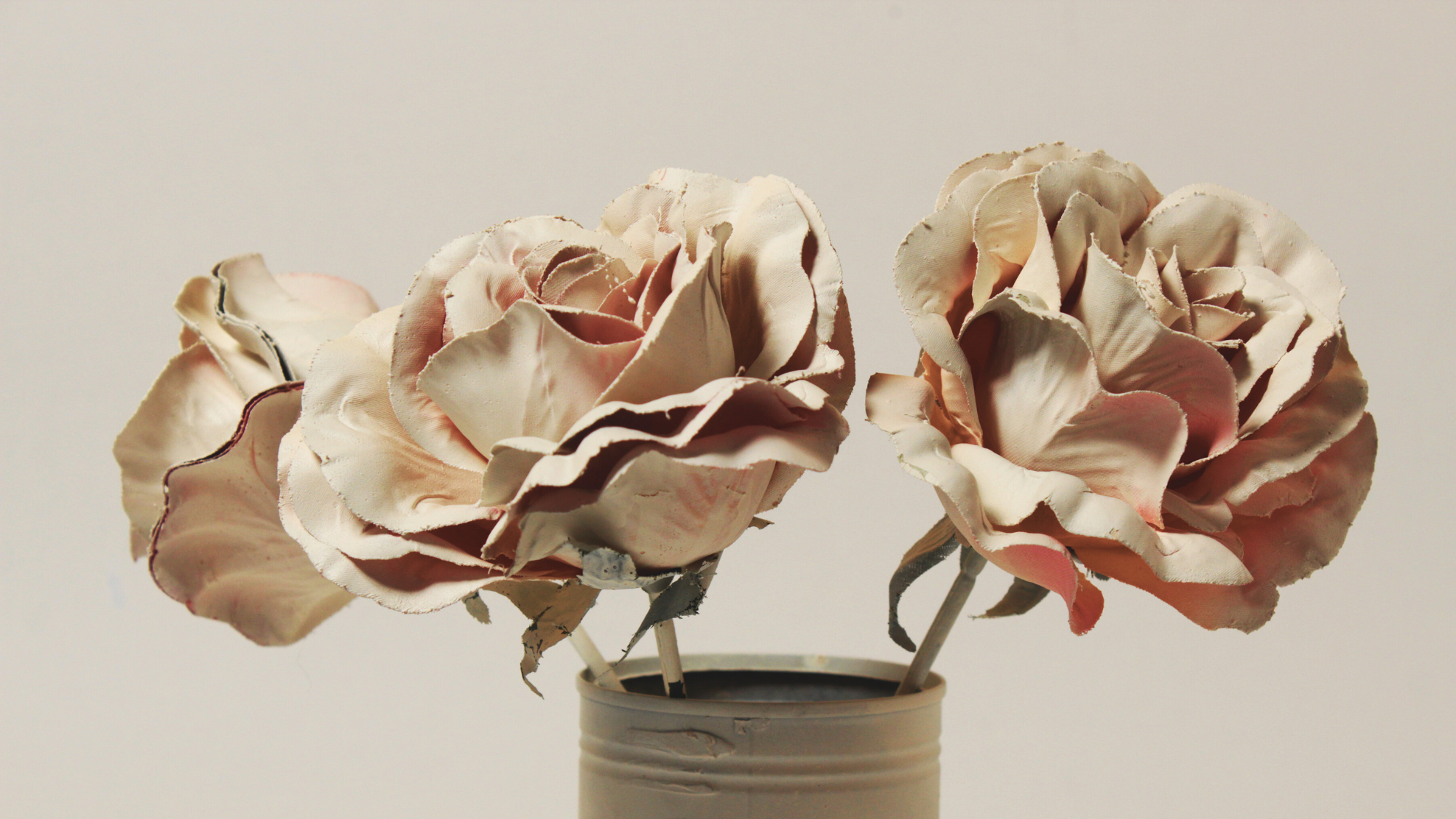 Meaning of Flowers in Home: How Blooms Shape Mood, Energy, and Everyday Life