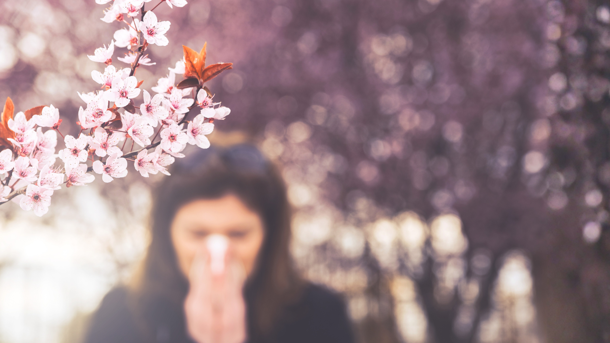 Artificial Flowers & Allergies: How to Enjoy Blooms Without the Sneezes