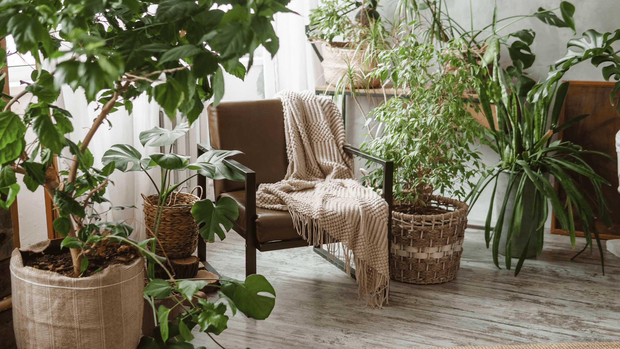 Artificial Indoor Plants