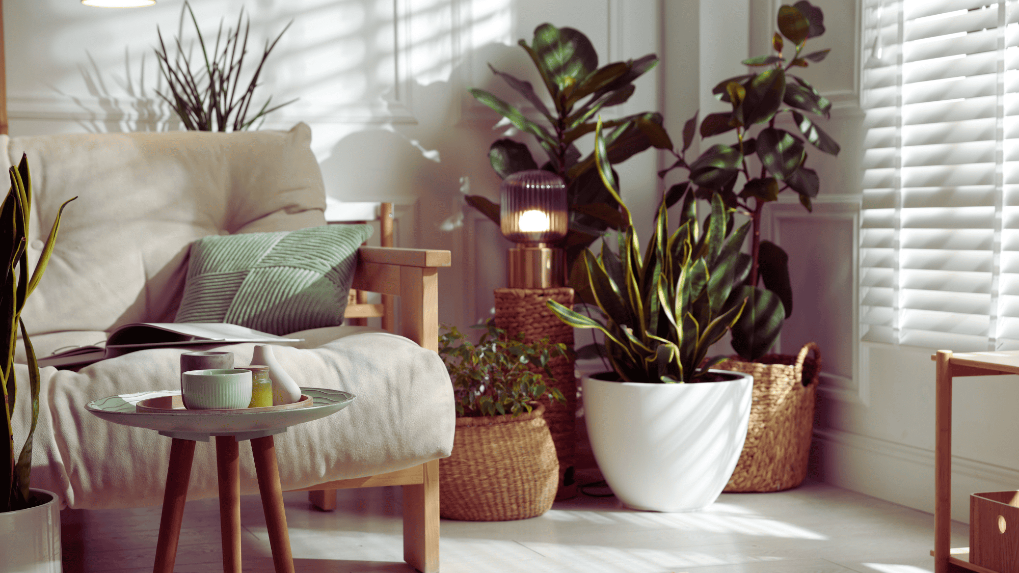 Artificial Plants: The Complete Guide to Styling Them at Home