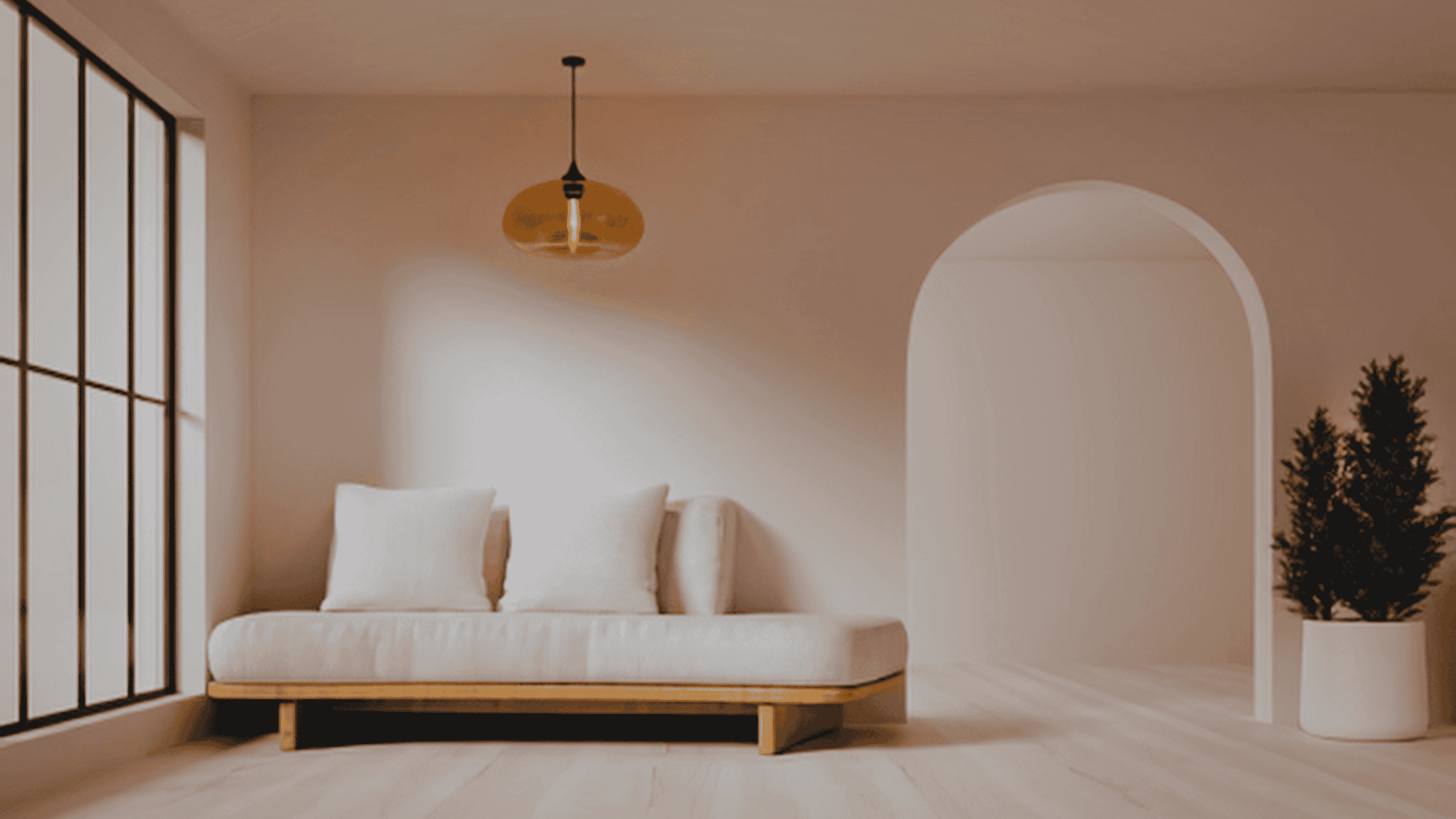 The Best Indoor Plants for Minimalist Home Styling